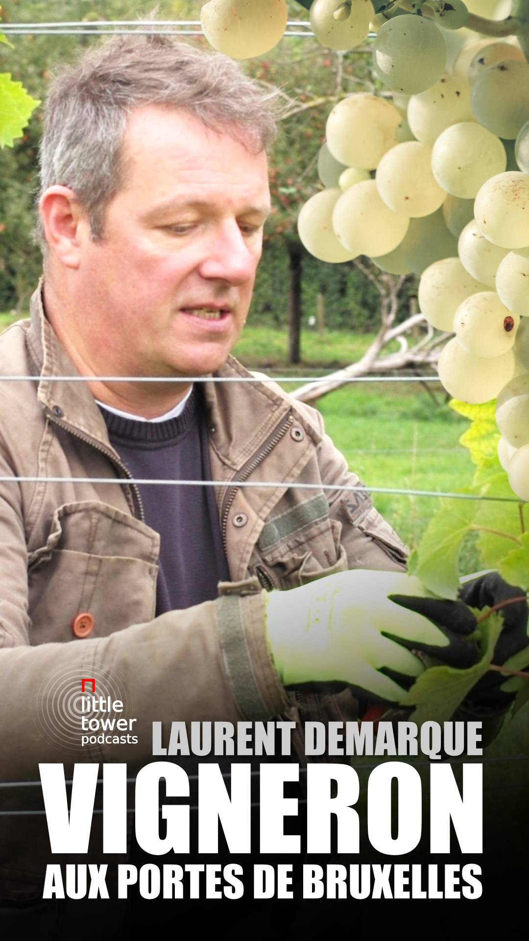 Du vin belge, du champagne aux portes de Bruxelles. Laurent Demarque, vigneron.