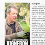 Laurent est dans ses vignes à 500 mètres de Bruxelles. Il crée un vignoble à Beersel.