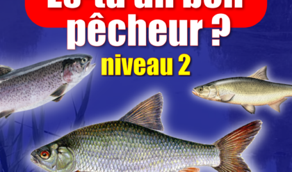 Quiz Pêche niveau 2